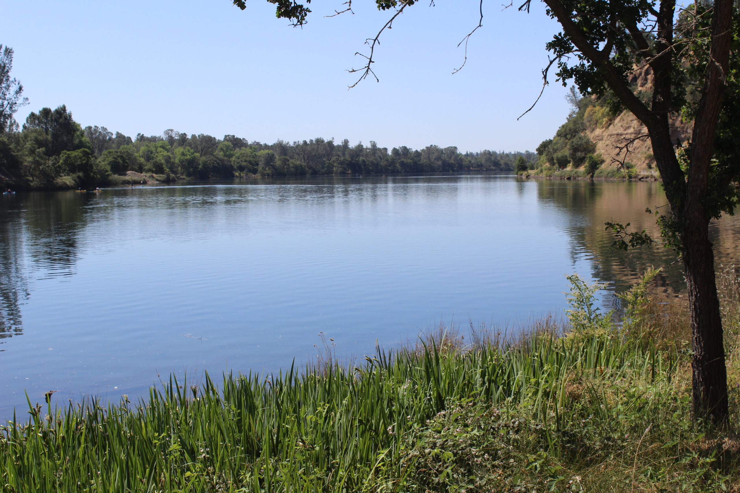 Lake Natoma - a peaceful lake surrounded by trees and greenery in California